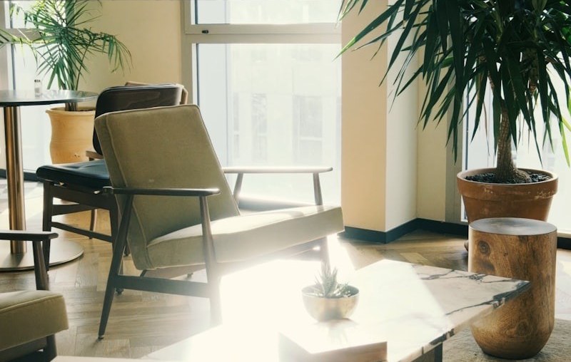 An olive-green armchair beside a small wood table and a framed palm print in a sunlit room