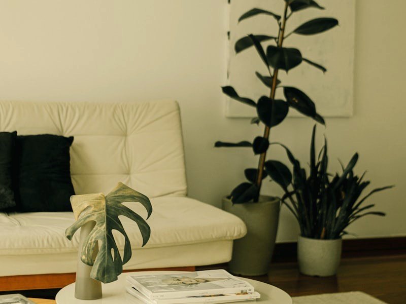 Cream armchairs around a round wood table with potted plants in a bright sitting area