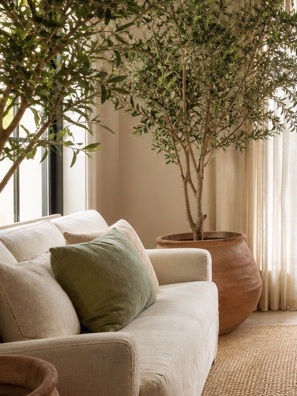 Cream sofa and potted olive tree by an arched window in the Wald Psychology office
